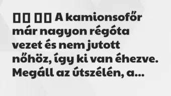 Viccek: 
		  
		  A kamionsofőr már nagyon régóta vezet és nem…