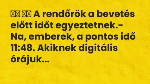 Viccek:
A rendőrök a bevetés előtt időt egyeztetnek.-… Viccek:
A rendőrök a bevetés előtt időt egyeztetnek.-…
