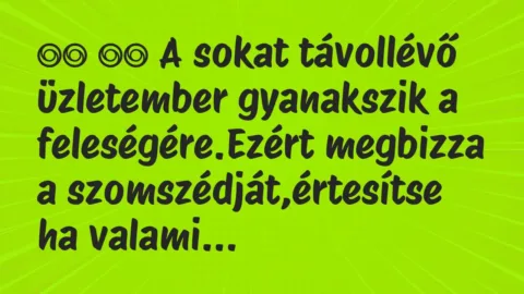 Viccek: 
		  
		  A sokat távollévő üzletember gyanakszik a…