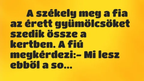 Viccek: 
		  
		  A székely meg a fia az érett gyümölcsöket szedik …