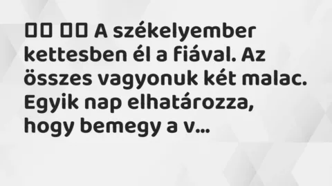 Viccek: 
		  
		  A székelyember kettesben él a fiával. Az összes…