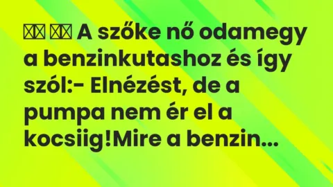 Viccek:
A szőke nő odamegy a benzinkutashoz és így… Viccek:
A szőke nő odamegy a benzinkutashoz és így…