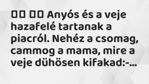 Viccek: 
		  
		  Anyós és a veje hazafelé tartanak a piacról….