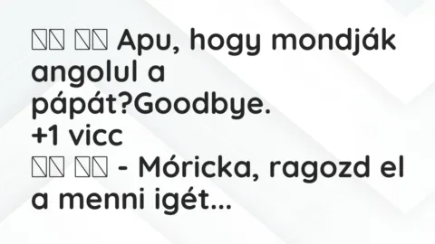 Viccek: 
		  
		  Apu, hogy mondják angolul a…