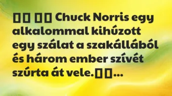 Viccek: 
		  
		  Chuck Norris egy alkalommal kihúzott egy szálat a…
