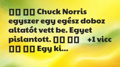 Viccek: 
		  
		  Chuck Norris egyszer egy egész doboz altatót vett…