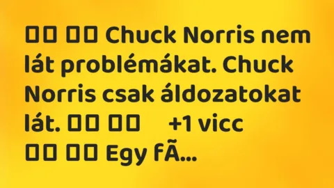 Viccek: 
		  
		  Chuck Norris nem lát problémákat. Chuck Norris…