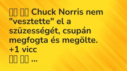 Viccek: 
		  
		  Chuck Norris nem „vesztette” el a szüzességét,…