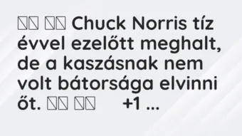 Viccek: 
		  
		  Chuck Norris tíz évvel ezelőtt meghalt, de a…