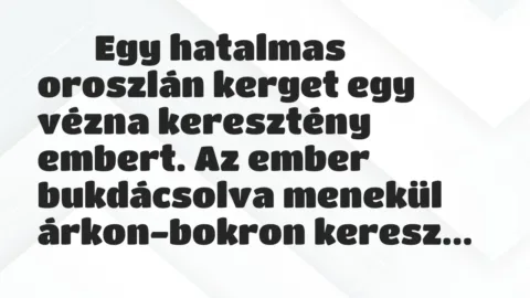 Viccek: 
		  
		  Egy hatalmas oroszlán kerget egy vézna keresztény…