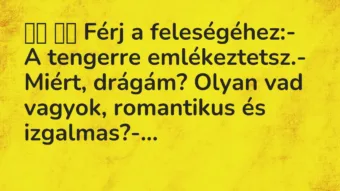 Viccek: Férj a feleségéhez:- A tengerre…