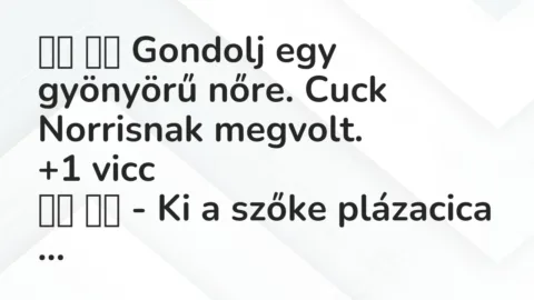 Viccek: 
		  
		  Gondolj egy gyönyörű nőre. Cuck Norrisnak…