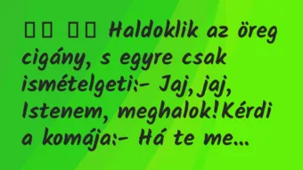 Viccek:
Haldoklik az öreg cigány, s egyre csak… Viccek:
Haldoklik az öreg cigány, s egyre csak…