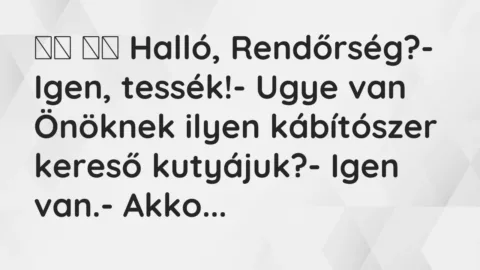 Viccek: 
		  
		  Halló, Rendőrség?- Igen, tessék!- Ugye…