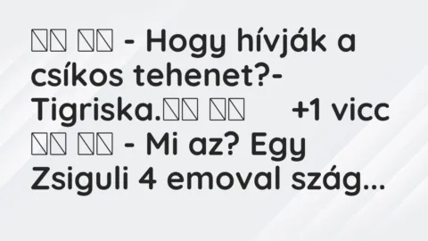 Viccek: 
		  
		  – Hogy hívják a csíkos tehenet?-…
