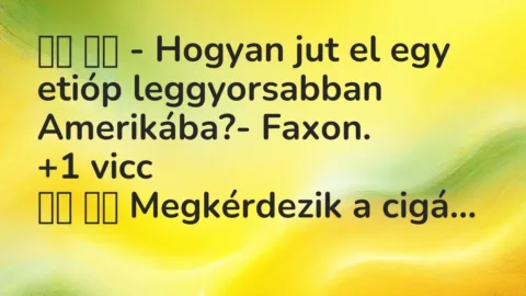 Viccek: 
		  
		  – Hogyan jut el egy etióp leggyorsabban…