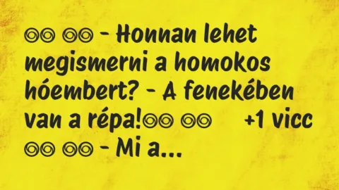 Viccek: 
		  
		  – Honnan lehet megismerni a homokos hóembert? – A…