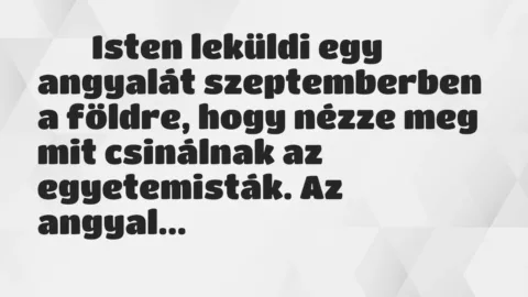 Viccek:
Isten leküldi egy angyalát szeptemberben a… Viccek:
Isten leküldi egy angyalát szeptemberben a…