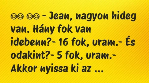 Viccek: 
		  
		  – Jean, nagyon hideg van. Hány fok van…