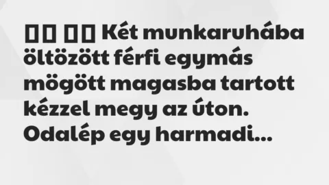 Viccek: 
		  
		  Két munkaruhába öltözött férfi egymás mögött…