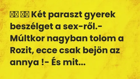 Viccek:
Két paraszt gyerek beszélget a sex-ről.-… Viccek:
Két paraszt gyerek beszélget a sex-ről.-…
