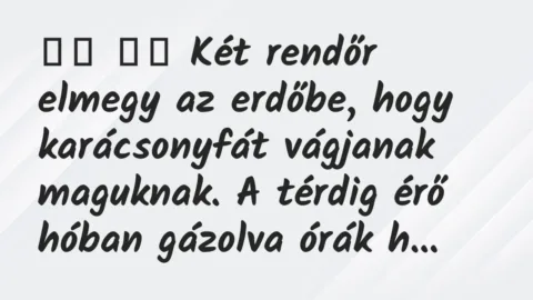 Viccek: 
		  
		  Két rendőr elmegy az erdőbe, hogy karácsonyfát…