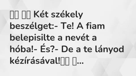 Viccek: 
		  
		  Két székely beszélget:- Te! A fiam…