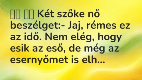 Viccek: 
		  
		  Két szőke nő beszélget:- Jaj, rémes ez az…