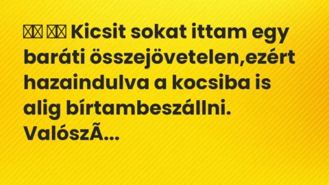 Viccek:
Kicsit sokat ittam egy baráti… Viccek:
Kicsit sokat ittam egy baráti…