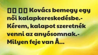 Viccek: Kovács bemegy egy női kalapkereskedésbe.-… Viccek: Kovács bemegy egy női kalapkereskedésbe.-…