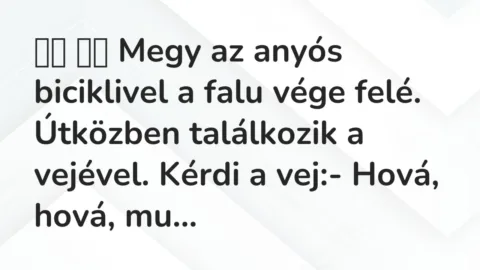Viccek: 
		  
		  Megy az anyós biciklivel a falu vége felé….