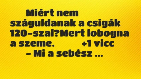 Viccek:
Miért nem száguldanak a csigák… Viccek:
Miért nem száguldanak a csigák…