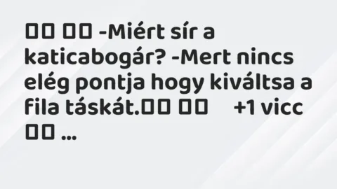 Viccek:
-Miért sír a katicabogár? -Mert nincs elég… Viccek:
-Miért sír a katicabogár? -Mert nincs elég…