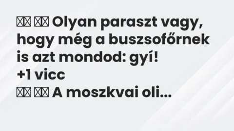 Viccek: 
		  
		  Olyan paraszt vagy, hogy még a buszsofőrnek is…