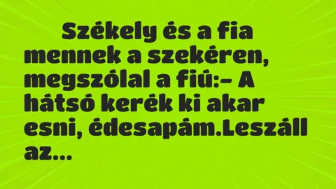 Viccek: 
		  
		  Székely és a fia mennek a szekéren, megszólal a…