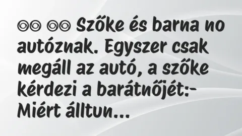 Viccek: 
		  
		  Szőke és barna no autóznak. Egyszer csak megáll a…