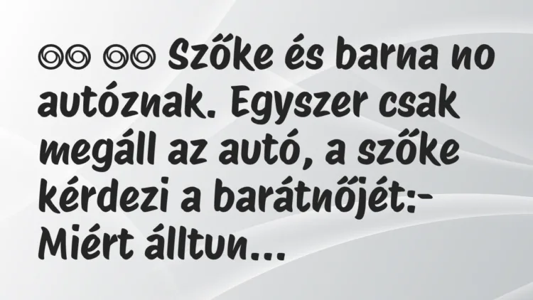 Viccek: Szőke és barna no autóznak. Egyszer csak megáll a… Viccek: Szőke és barna no autóznak. Egyszer csak megáll a…