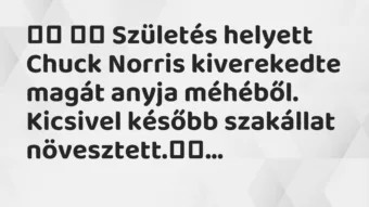 Viccek: 
		  
		  Születés helyett Chuck Norris kiverekedte magát…
