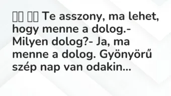 Viccek: Te asszony, ma lehet, hogy menne a dolog.- Mi…