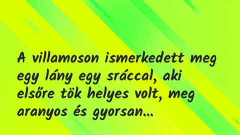 Vicces történet: 
	    	    


A villamoson ismerkedett meg egy lány…