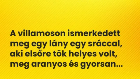 Vicces történet:
A villamoson ismerkedett meg egy lány… Vicces történet:
A villamoson ismerkedett meg egy lány…
