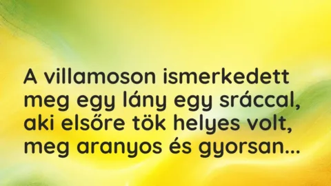 Vicces történet:
A villamoson ismerkedett meg egy lány… Vicces történet:
A villamoson ismerkedett meg egy lány…