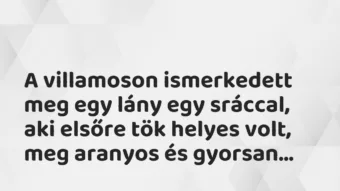 Vicces történet: 
	    	    


A villamoson ismerkedett meg egy lány…