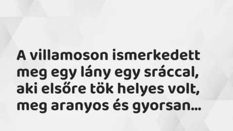 Vicces történet: 
	    	    


A villamoson ismerkedett meg egy lány…