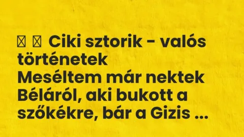 Vicces történet: 
	    	    Ciki sztorik – valós történetek


Meséltem már nektek…