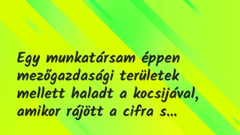 Vicces történet: 
	    	    


Egy munkatársam éppen mezőgazdasági…