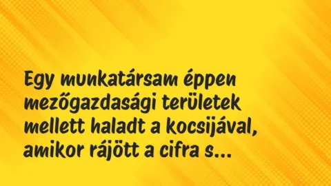 Vicces történet: 
	    	    


Egy munkatársam éppen mezőgazdasági…