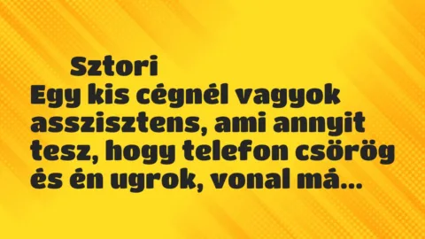 Vicces történet:
Sztori
Egy kis cégnél vagyok asszisztens, ami annyit … Vicces történet:
Sztori
Egy kis cégnél vagyok asszisztens, ami annyit …