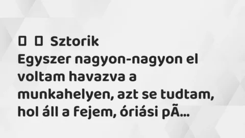 Vicces történet: 
	    	    Sztorik


Egyszer nagyon-nagyon el voltam havazva a…