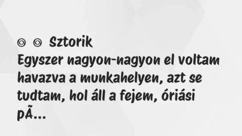 Vicces történet: 
	    	    Sztorik


Egyszer nagyon-nagyon el voltam havazva a…